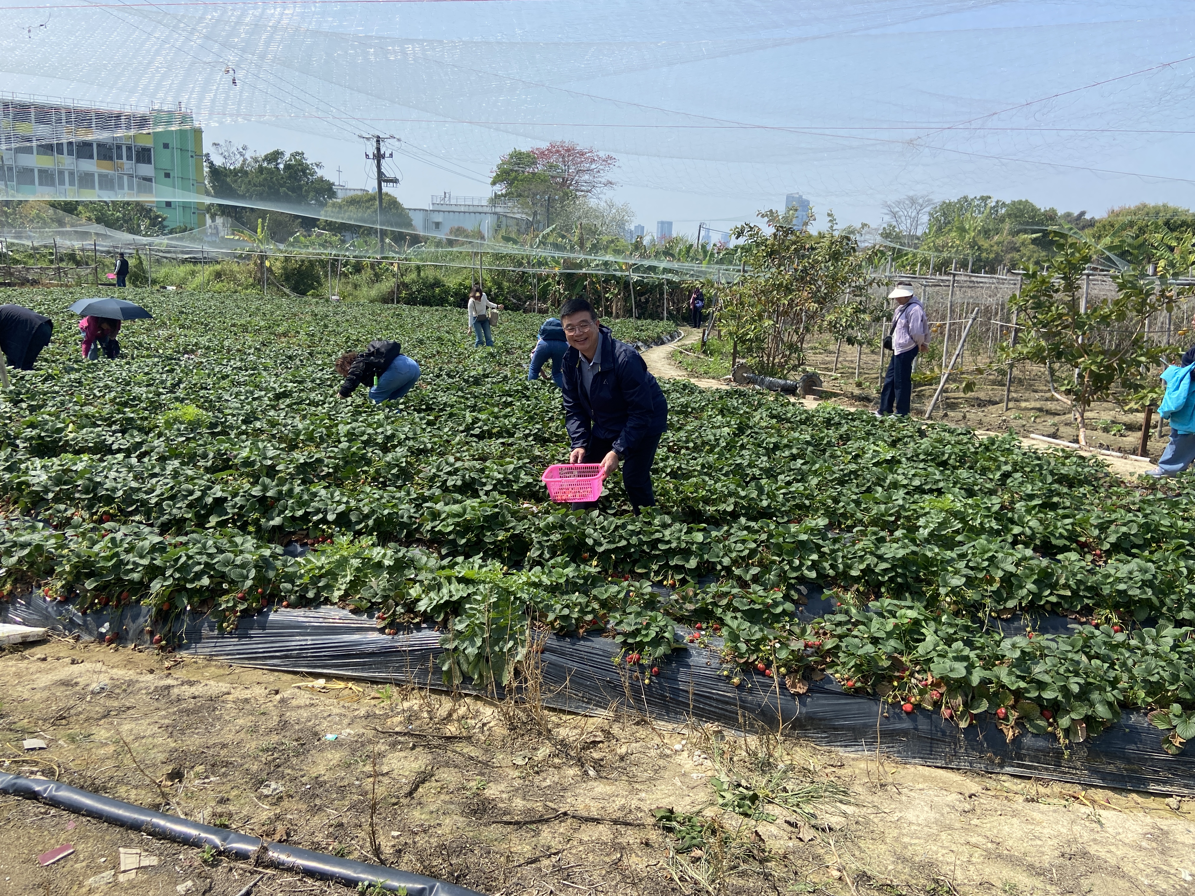沙頭角樂消遙