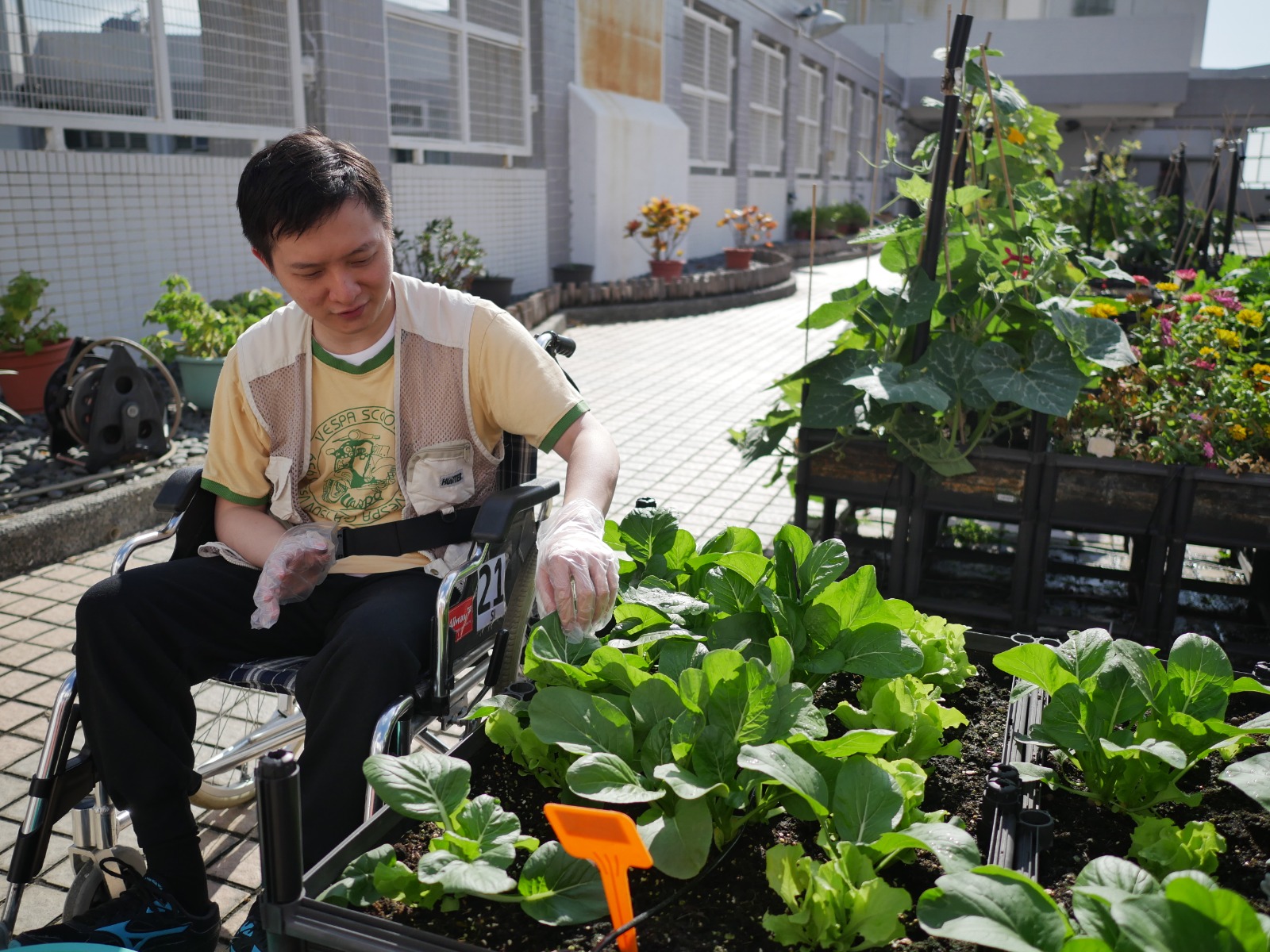 園藝治療小組